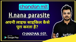 hnana life cycle in hindi by chandan mlt [upl. by Abebi]