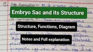 Embryo Sac and Its Structure  Organization  Functions  Diagram  Female gametophyte notes yt [upl. by Cosma]