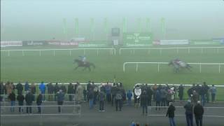 Punchestown Highlights 20th November 2016 [upl. by Hettie]