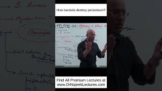 How Bacteria Destroy Periosteum shortvideo shorts drnajeeb drnajeeblectures [upl. by Llorrac]