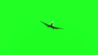 Plane Ju87A Stuka move 2 green screen [upl. by Adali805]