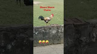 Dheere Dheere Chalna trending [upl. by Ymot]