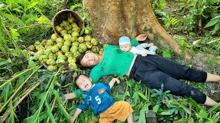 Harvesting natural fruits for sale  pig care  farm life  Daily life of mother and child [upl. by Dina]