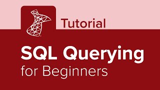 SQL Querying for Beginners Tutorial [upl. by Ainafets272]