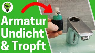 Armatur Undicht amp Tropft ✅TOP ANLEITUNG Wie Waschbecken Wasserhahn Reparieren amp Kartusche Wechseln [upl. by Prue]