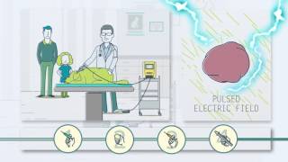 Electrochemotherapy in Veterinary Medicine [upl. by Odnomra]