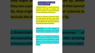 SchemaAssimilation Piaget cognitive development theory CTETBED [upl. by Nanda]