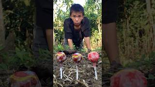 Survival Skills How to survive in the forest using lollipops survival outdoors shorts hacks [upl. by Bevis]