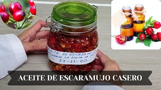 🌿COMO HACER ACEITE MACERADO DE ESCARAMUJO CASERO [upl. by Kalman]