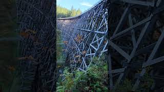 Kinsol Trestle bridge canada [upl. by Andrien]