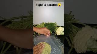 Paratha challenge day 10reels yummyparatha subscribe food subscribe parathalovers easyrecipe [upl. by Olivier]