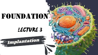 Implantation Lecture 3 Embryology Foundation module Dr Adham Saleh [upl. by Gavrilla]