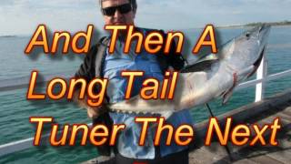 A summary of Urangan Pier Fishing Hervey Bay [upl. by Ainafets775]