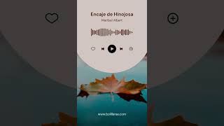 PLAY LIST BOLILLERAS  CANCION del martes  encaje de Hinojosa [upl. by Noeht174]