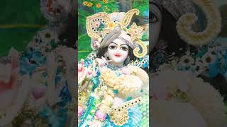 Radha Krishna ❤️❤️🌺🙏🌺🌺🙏🙏shortsfeed youtubeshorts viralvideo shortvideo ytshots foryou [upl. by Endo]