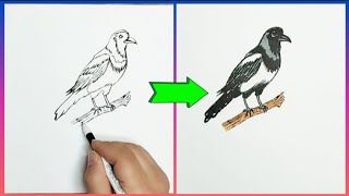 asan yolla qarğa şəkli çəkmək  easy way to draw crow [upl. by Ainahpets]