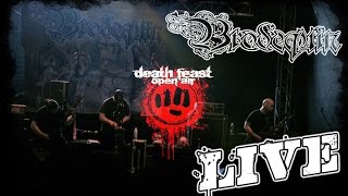 Brodequin LIVE  Death Feast Open Air 2016  Dani Zed  Liturgy Unmatched Brutality [upl. by Pricilla]