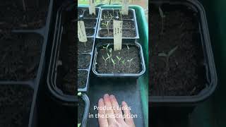 How I use heat mats to start seeds in my unheated greenhouse every spring [upl. by Adnar]