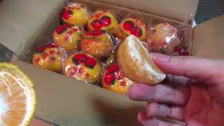 CNY Honey Mandarin Oranges Ponkan Unboxing  甜椪柑开箱 [upl. by Einohtna]