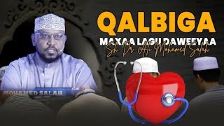 Qalbiga Maxaa lagu daweeyaa  Sh Dr Ali Mohamed Salah [upl. by Ajnot445]