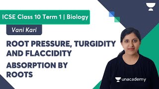 Root Pressure Turgidity and Flaccidity  Absorption by Roots  ICSE Class 10 Term 1  Biology [upl. by Ihcur]