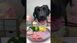 mas marasa pa an food han dog🤤warayyoutuber funny doglover [upl. by Fry592]