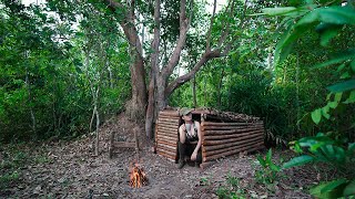 Solo Bushcraft Camp  Build Super Shelter in Raiforest  Overnight in my Shelter [upl. by Brooks]