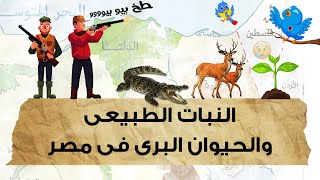 النبات الطبيعى والحيوان البرى فى مصر  أولى ثانوى جغرافيا  الترم الأول [upl. by Hplodnar]