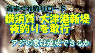 横須賀 大津港新堤で夜釣り アジの束は達成できるのか [upl. by Conner33]