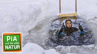 Eisbaden am Polarkreis  Reportage für Kinder  Pia und die wilde Natur [upl. by Pellet313]