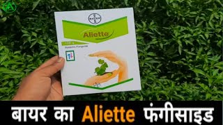 Aliette  बायर कंपनी का एलियट फंगीसाइड बहुत शानदार [upl. by Atirb555]