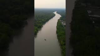 World largest mangrove forest Sunderban Bangladesh  drownshortmbangla vlogger24 [upl. by Novel447]