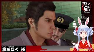 Pekora reaction to Majima Everywhere 2nd encounter Hololive english sub [upl. by Luo905]