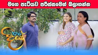 Paara Dige Episode 396  පාර දිගේ  29th November 2022 [upl. by Llennahc]