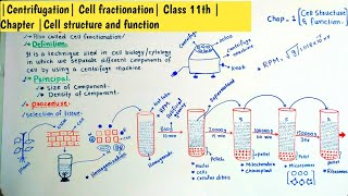 Centrifugation Cell fractionation Class 11th Chapter Cell structure and function [upl. by Oirasec]