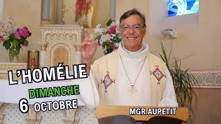 Homélie de Mgr Aupetit  dimanche 6 oct 24 [upl. by Aihsemot]