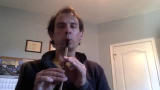 John Brosnans Polka  Tin Whistle [upl. by Hessney343]