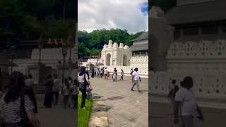 Dalada Maligawa 🇱🇰🙏☸travel kandy history explore shorts viralvideo fyp foryou❤visitsrilank [upl. by Marti426]