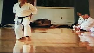 Akamine Sensei demonstrates Neko Ashi Mae Geri 2000 Word Seminar in Los Angeles [upl. by Ivana]