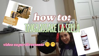 how to ingrassare la sella✨ video divertente😂🤫🙊 [upl. by Blaire]