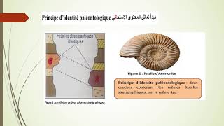 Reconstitution de lhistoire géologique dune région sédimentaire 1 er bac science expérimentale [upl. by Sharos]