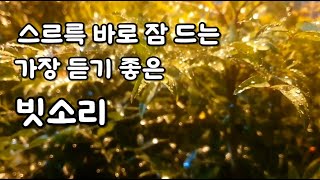 조용히 속삭이는 가을밤의 빗소리ㅣ10분 후 어두운 화면ㅣ이명 치료 효과ㅣ명상 집중 공부 whitenoise [upl. by Danziger]