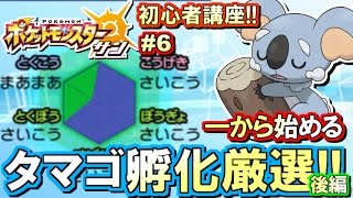 【ポケモンSM】初心者講座！ポケモン サンムーン実況プレイ！Part6 【はじめてのタマゴ孵化厳選 後編】 [upl. by Tripp]