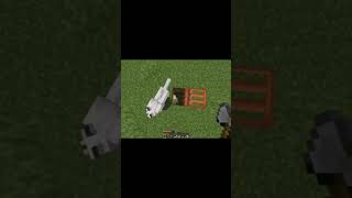 When Doni bobes Had a good idea in Minecraft ‎‎Doni Extra [upl. by Ezar]