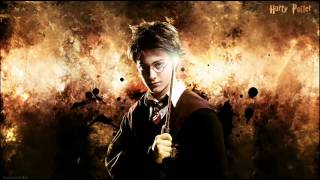 Harry Potter Soundtrack  Hedwigs Theme Main Theme [upl. by Achilles]