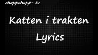 Einár  Katten i Trakten Lyrics Video [upl. by Eita866]