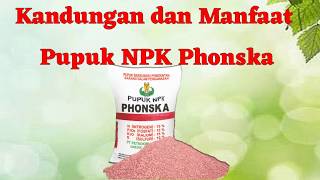 Kandungan dan Manfaat Pupuk NPK Phonska Untuk Tanaman [upl. by Ytitsahc939]