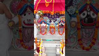 Jagannath Ji ka Rahasya jagannathblessings [upl. by Nitsraek]