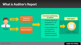 What is an Auditors Report [upl. by Yreffoeg115]