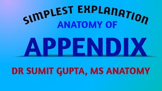 APPENDIX  ANATOMY [upl. by Eeresed228]